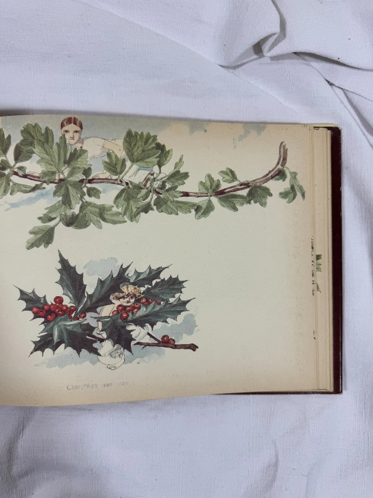 Hardback book with illustration against white background